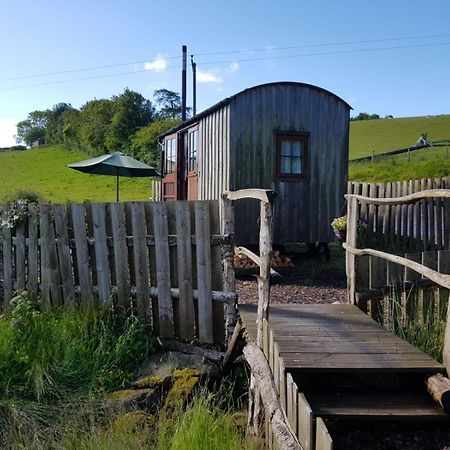 Eco Accommodation Cornflower Craven Arms Ngoại thất bức ảnh