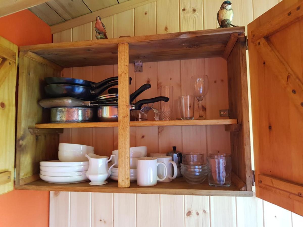 Eco Accommodation Cornflower Craven Arms Ngoại thất bức ảnh