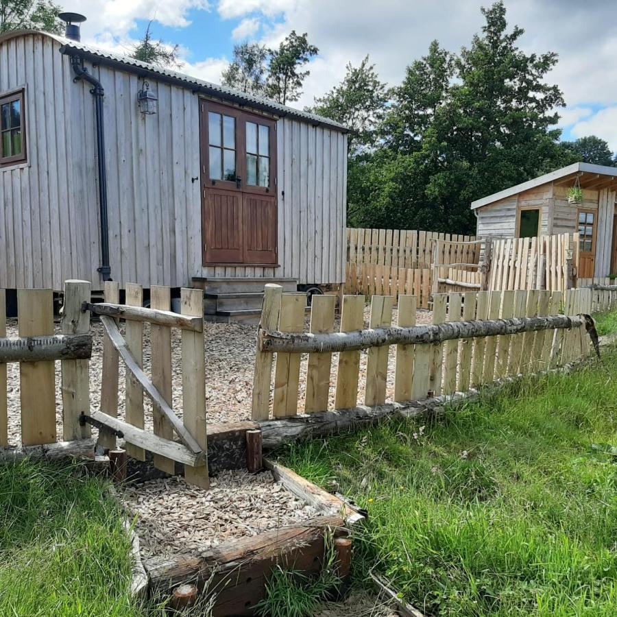 Eco Accommodation Cornflower Craven Arms Ngoại thất bức ảnh